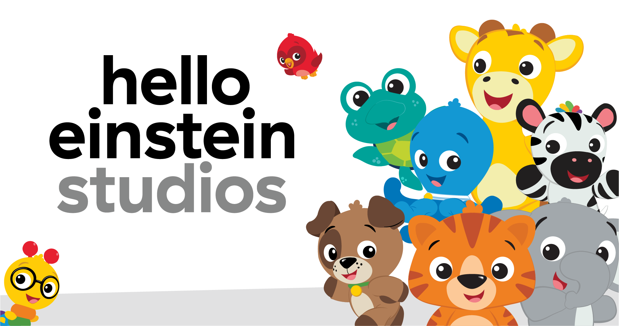 Hello Einstein Studios Launches with Digital-First Expansion