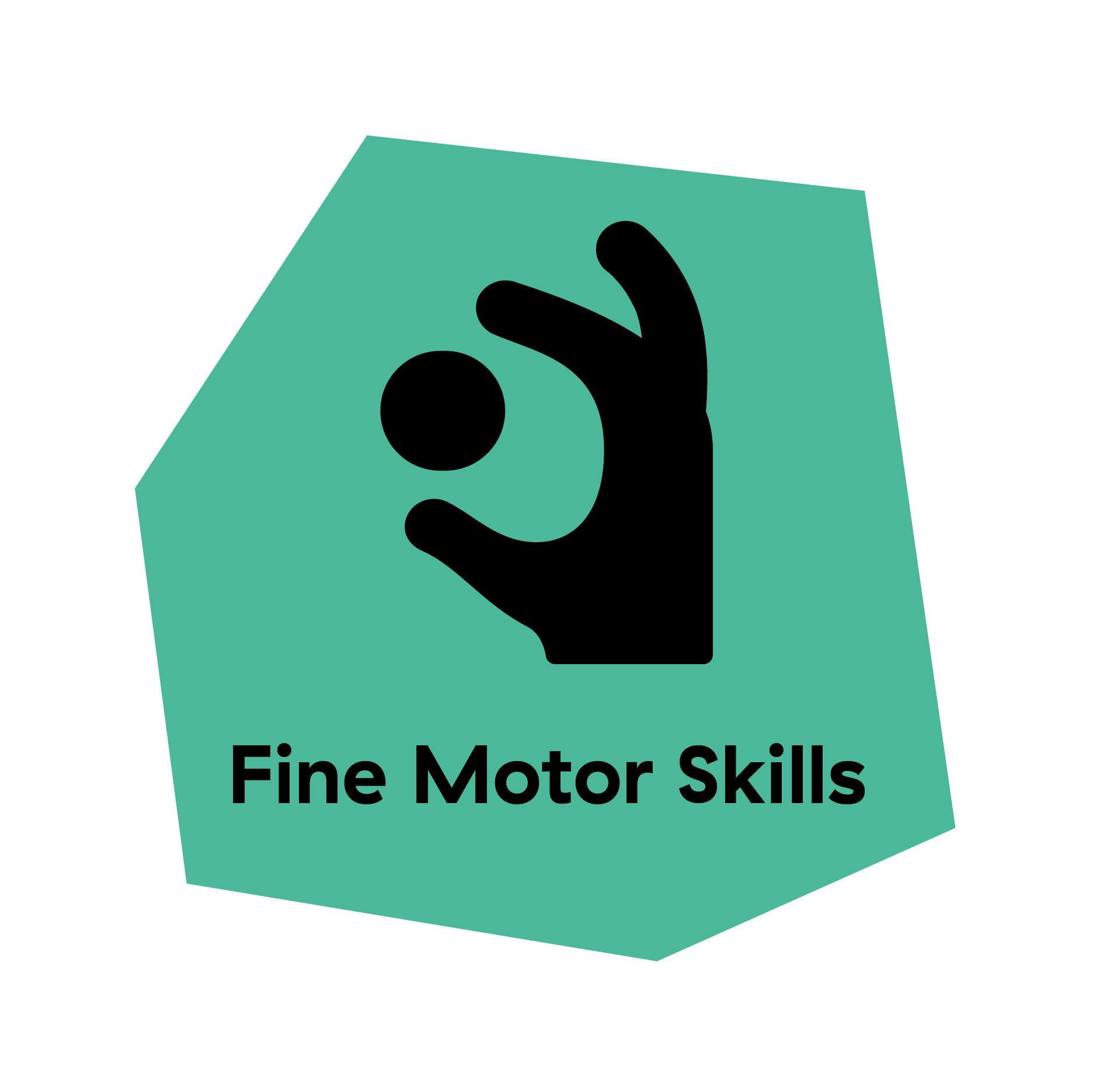 Fine Motor Skills