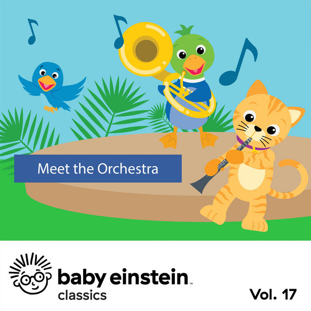 Meet the Orchestra